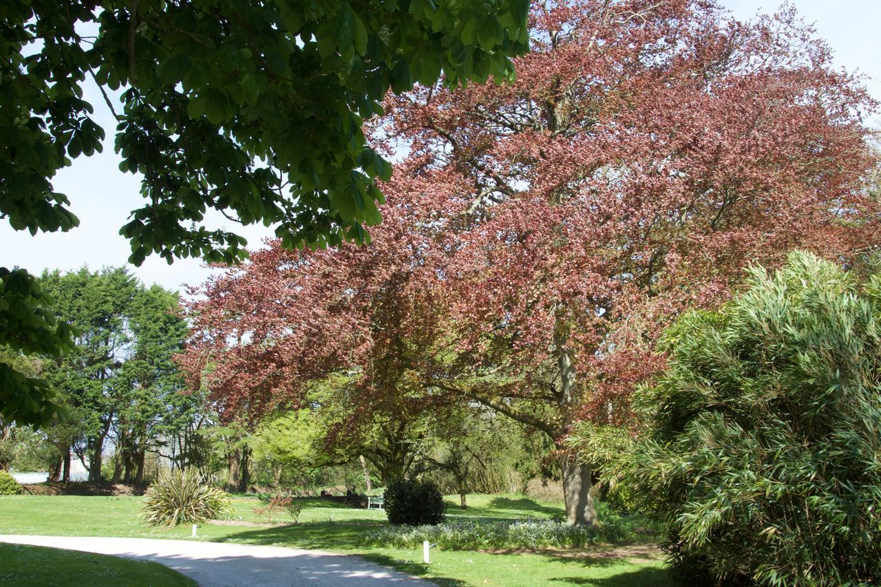 Bed and Breakfast Trewornan Manor Wadebridge Esterno foto